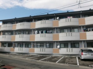 CIMG0351