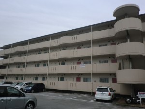 CIMG7694